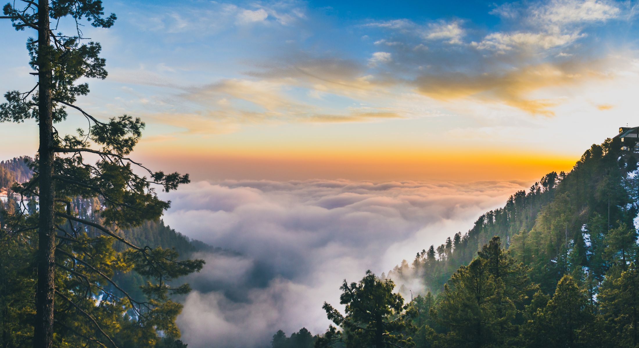 Murree Murree